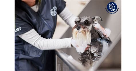 grooming packages at petco|petco dog grooming website.